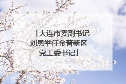大连市委副书记刘恩举任金普新区党工委书记
