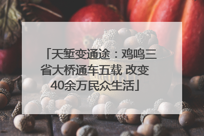天堑变通途：鸡鸣三省大桥通车五载 改变40余万民众生活
