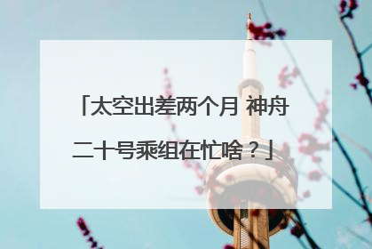 太空出差两个月 神舟二十号乘组在忙啥？