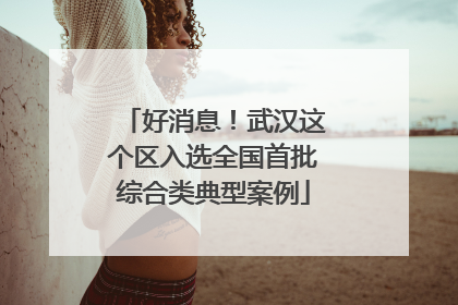 好消息！武汉这个区入选全国首批综合类典型案例