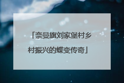 奈曼旗刘家堡村乡村振兴的蝶变传奇
