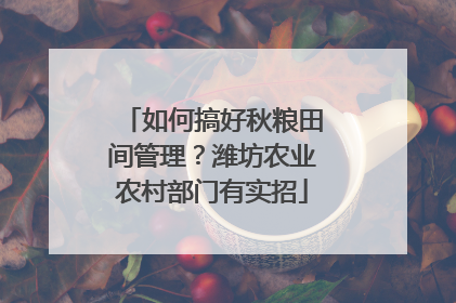 如何搞好秋粮田间管理？潍坊农业农村部门有实招