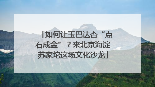 如何让玉巴达杏“点石成金”？来北京海淀苏家坨这场文化沙龙