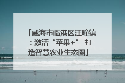 威海市临港区汪疃镇：激活“苹果+” 打造智慧农业生态圈