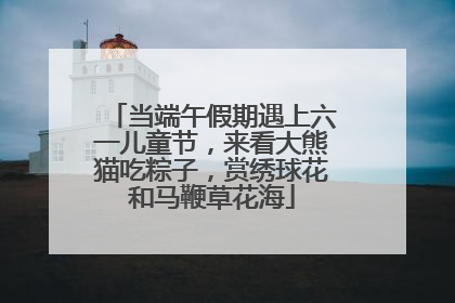 当端午假期遇上六一儿童节，来看大熊猫吃粽子，赏绣球花和马鞭草花海