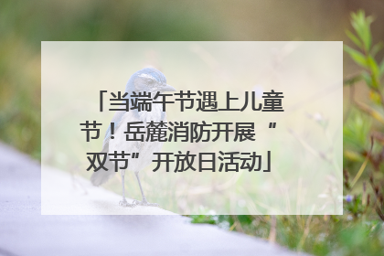 当端午节遇上儿童节！岳麓消防开展“双节”开放日活动