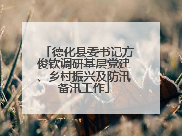 德化县委书记方俊钦调研基层党建、乡村振兴及防汛备汛工作