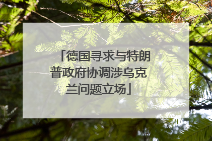 德国寻求与特朗普政府协调涉乌克兰问题立场