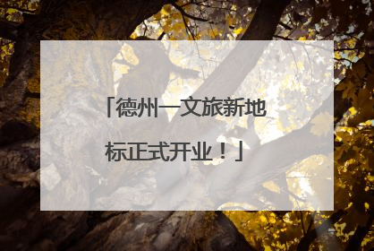 德州一文旅新地标正式开业！