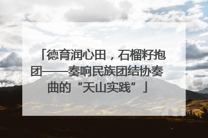 德育润心田，石榴籽抱团——奏响民族团结协奏曲的“天山实践”