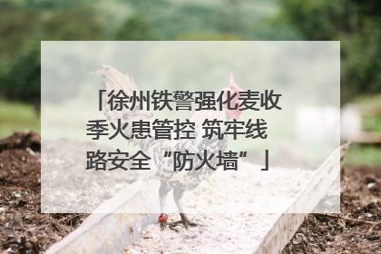 徐州铁警强化麦收季火患管控 筑牢线路安全“防火墙”