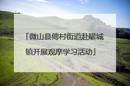 微山县傅村街道赴驩城镇开展观摩学习活动