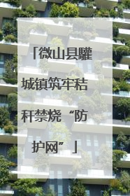 微山县驩城镇筑牢秸秆禁烧“防护网”