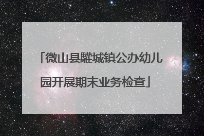 微山县驩城镇公办幼儿园开展期末业务检查