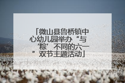 微山县鲁桥镇中心幼儿园举办“与‘粽’不同的六一”双节主题活动