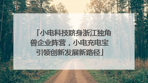 小电科技跻身浙江独角兽企业阵营，小电充电宝引领创新发展新路径
