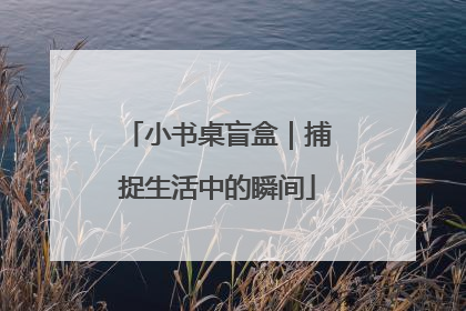 小书桌盲盒｜捕捉生活中的瞬间
