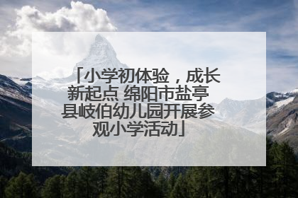 小学初体验，成长新起点 绵阳市盐亭县岐伯幼儿园开展参观小学活动