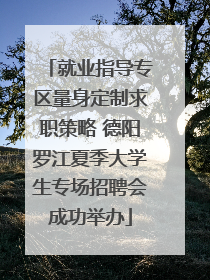 就业指导专区量身定制求职策略 德阳罗江夏季大学生专场招聘会成功举办