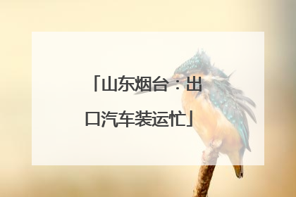 山东烟台：出口汽车装运忙