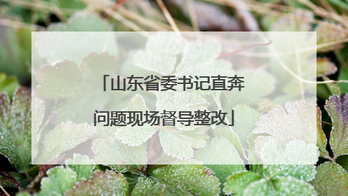 山东省委书记直奔问题现场督导整改