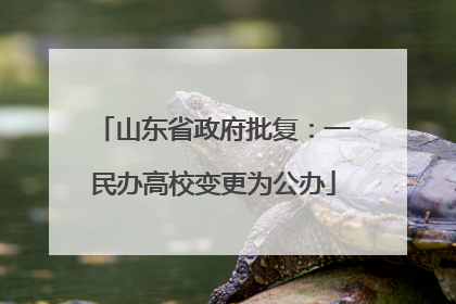 山东省政府批复：一民办高校变更为公办