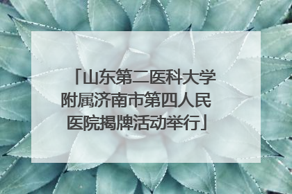 山东第二医科大学附属济南市第四人民医院揭牌活动举行