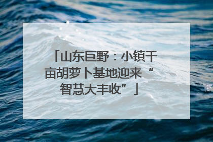 山东巨野：小镇千亩胡萝卜基地迎来“智慧大丰收”