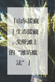 山东援藏｜生态援藏，戈壁滩上的“潍坊魔法”