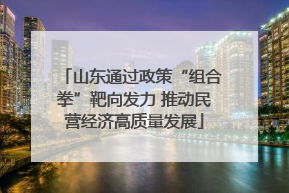 山东通过政策“组合拳”靶向发力 推动民营经济高质量发展