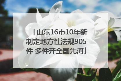 山东16市10年新制定地方性法规905件 多件开全国先河