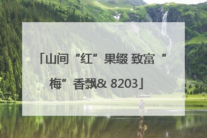 山间“红”果缀 致富“梅”香飘& 8203