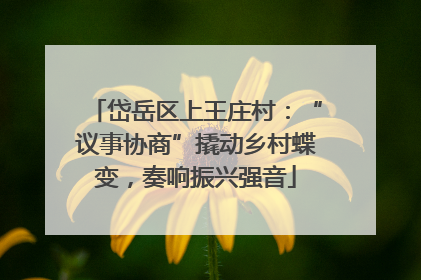岱岳区上王庄村：“议事协商”撬动乡村蝶变，奏响振兴强音
