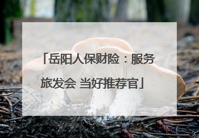 岳阳人保财险：服务旅发会 当好推荐官