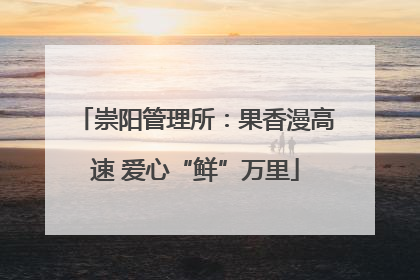崇阳管理所：果香漫高速 爱心“鲜”万里
