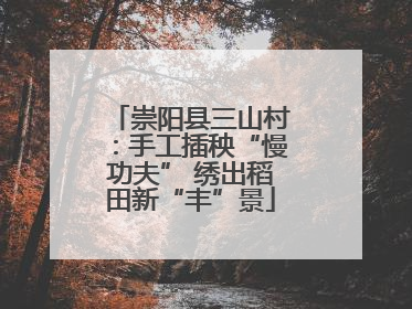 崇阳县三山村：手工插秧“慢功夫” 绣出稻田新“丰”景