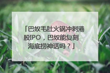 巴奴毛肚火锅冲刺港股IPO，巴奴能复刻海底捞神话吗？