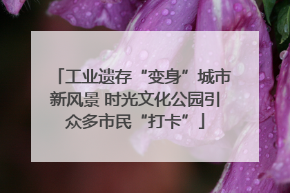 工业遗存“变身”城市新风景 时光文化公园引众多市民“打卡”