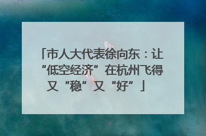 市人大代表徐向东：让“低空经济”在杭州飞得又“稳”又“好”