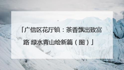广信区花厅镇：茶香飘出致富路 绿水青山绘新篇（图）
