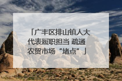 广丰区排山镇人大代表履职担当 疏通农贸市场“堵点”