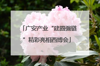 广安产业“建圈强链”精彩亮相西博会