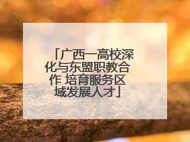 广西一高校深化与东盟职教合作 培育服务区域发展人才