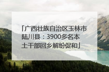 广西壮族自治区玉林市陆川县：3900多名本土干部回乡解纷促和