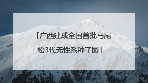 广西建成全国首批马尾松3代无性系种子园