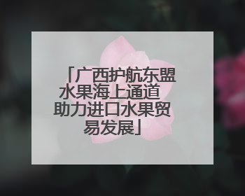 广西护航东盟水果海上通道 助力进口水果贸易发展