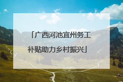 广西河池宜州务工补贴助力乡村振兴