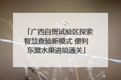广西自贸试验区探索智慧查验新模式 便利东盟水果进境通关