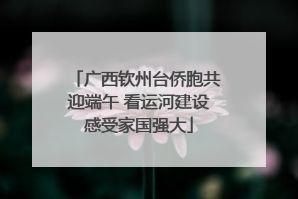 广西钦州台侨胞共迎端午 看运河建设感受家国强大