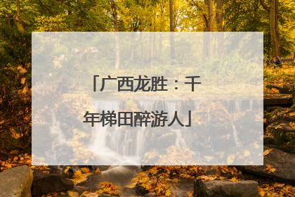 广西龙胜：千年梯田醉游人
